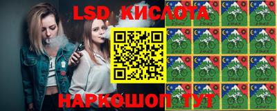 Альфа ПВП Канаш