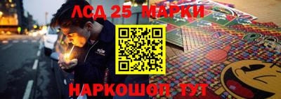амф Кандалакша