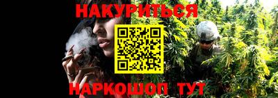 амф Кандалакша