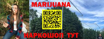 Альфа ПВП Канаш