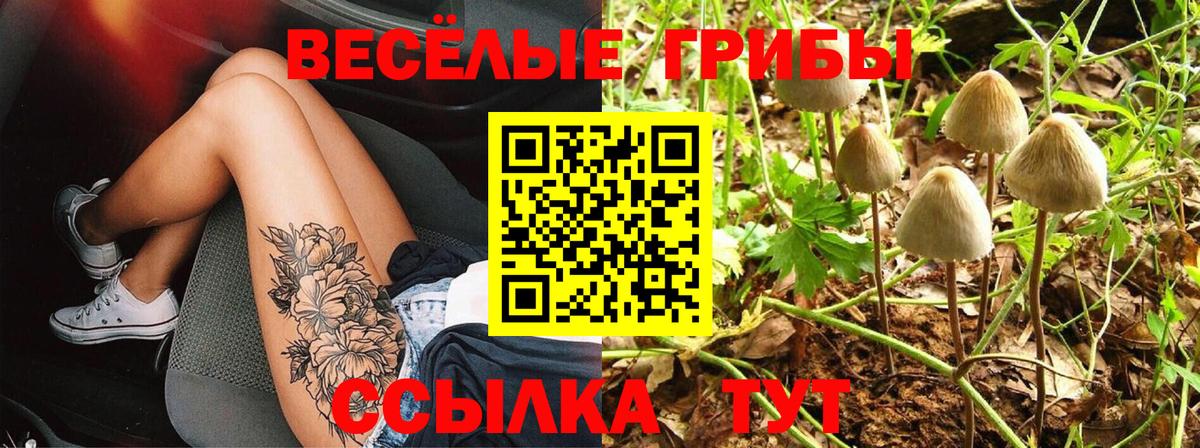 Красноярск  Псилоцибиновые грибы прущие грибы  Вход с VPN  Псилоцибиновые грибы мицелий 
