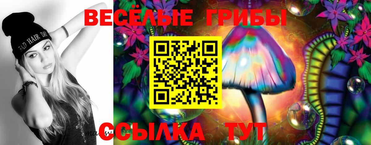 Галлюциногенные грибы Magic Shrooms Красноярск